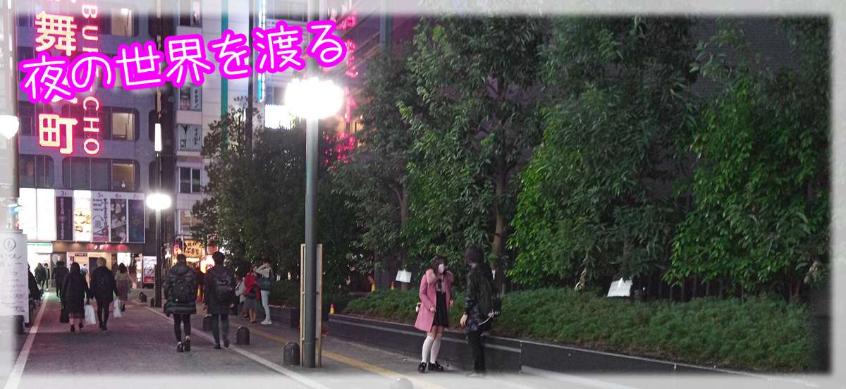 夜の世界の渡る術について(;・∀・)