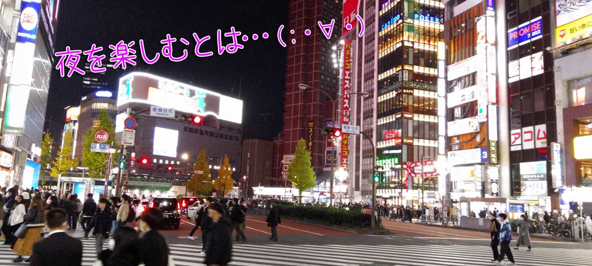 夜の世界を楽しむとは、幻想を楽しむということです(;・∀・)